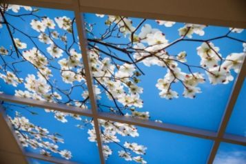 Barnet Hospital - Larch Ward - Electrical